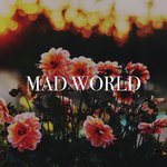 Mad World