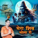 Mera Shiv Bhola Ri