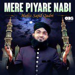 Mere Piyare Nabi