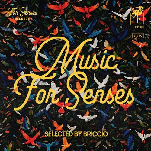 Music for Senses - ADE 2024 Compiled by BRICCIO