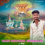 Nadi Hogona Srisailak