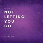 Not Letting You Go artwork