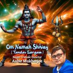 Om Namah Shivay Tandav Sargam