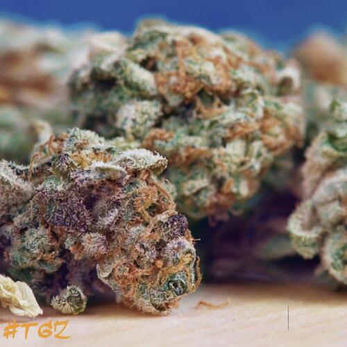 Orange Haze cover art