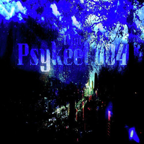Psykeel 004