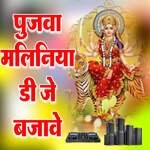 Pujawa Maliniya DJ Bajave