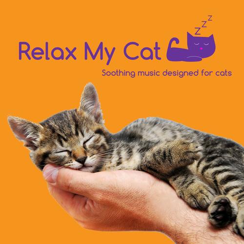Relax My Cat - Music to Help with Cat Anxiety