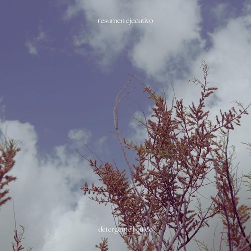 Resumen ejecutivo cover art