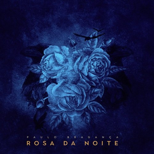 Rosa da Noite