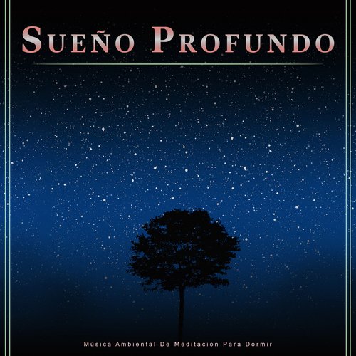 Sueño Encantado cover art