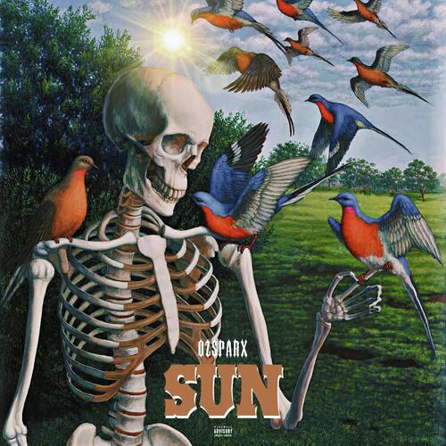Sun cover art