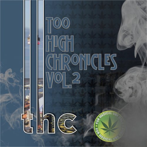 Too High Chronicles, Vol. 2_poster_image