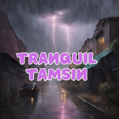 Tranquil Tamsin - Calming Music for Inner Peace: ASMR Nature Rain