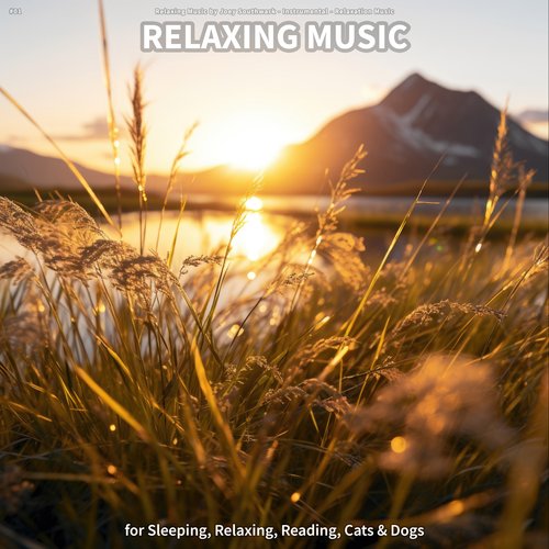 Comforting Charisma cover art