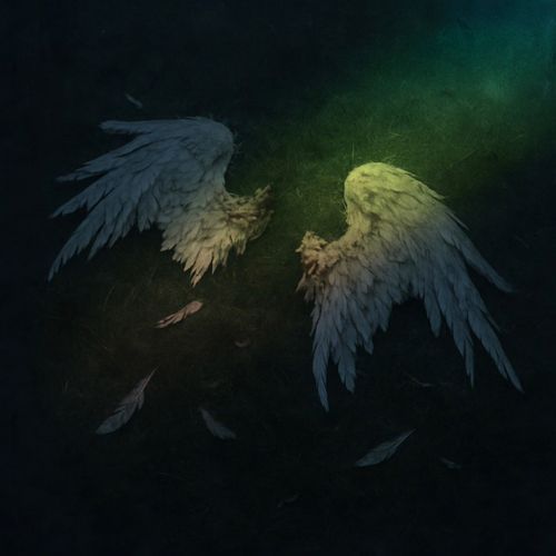 2Flügel cover art