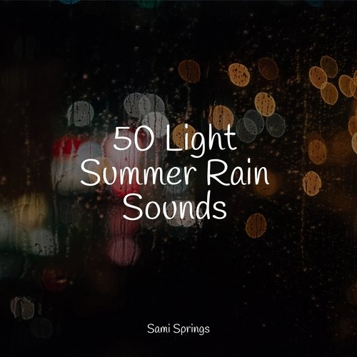 50 Light Summer Rain Sounds_poster_image