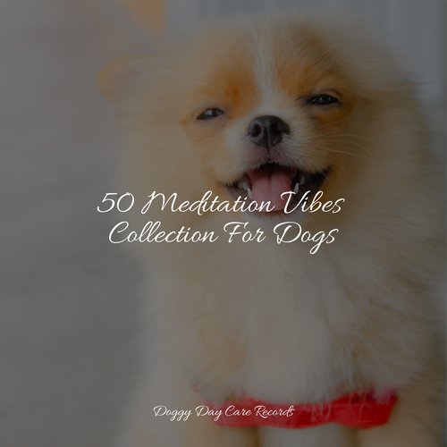 50 Meditation Vibes Collection For Dogs