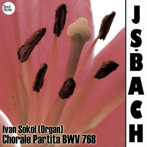Bach: Chorale Partita BWV 768