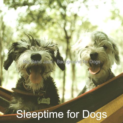 Background for Sleeping Dogs cover art