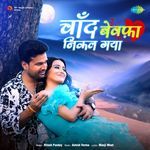 Chaand Bewafa Nikal Gaya artwork