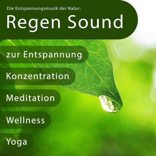 Die Entspannungsmusik Der Natur: Regen Sound Zur Entspannung, Konzentration, Meditation, Wellness, Y_poster_image