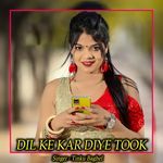 Dil Ke Kar Diye Took