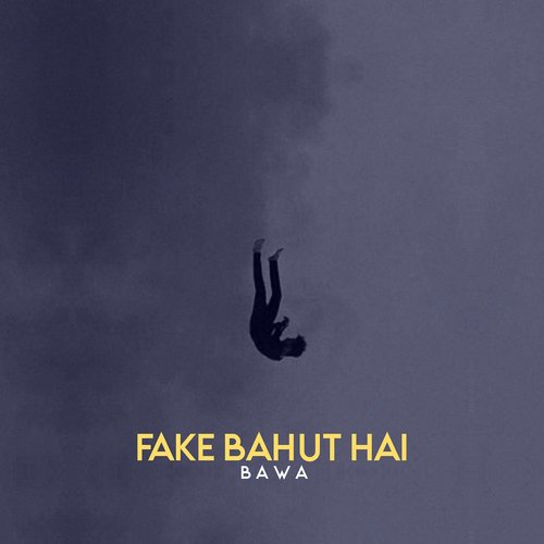 Fake Bahut Hai