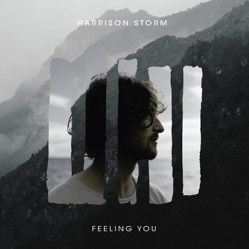 Feeling You - Single_poster_image