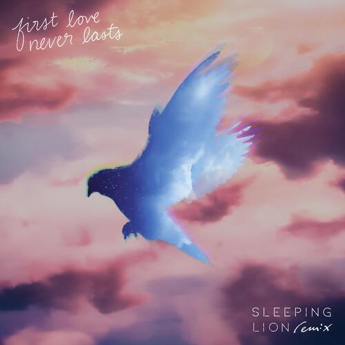 First Love Never Lasts (Sleeping Lion Remix)_poster_image