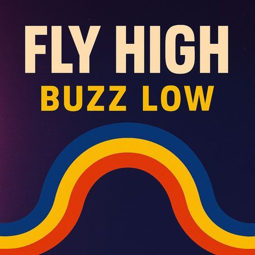 Fly High, Buzz Low cover art