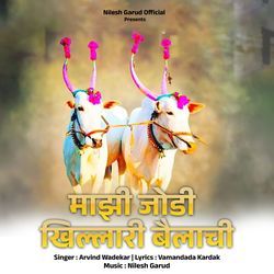 Majhi Jodi Khilari Bailachi