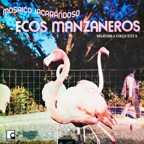 Mosaico Jacarandoso: Aquellos Diciembres / Te Quiero Paco / Pareces Una Nena / Julia / Las Cuatro Hijas / Cualquier Tumba Es Igual / Amor Eterno / Que Le Maten Pollo / El Solterón / El Dormilón cover art