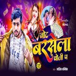 Not Barsela Choli Pa