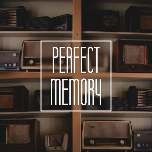 Perfect Memory – Music for Study, Classical Songs for Effective Learning, Composers to Work, Sounds and Concentration