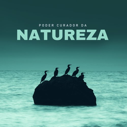 Poder Curador da Natureza - Sons da Natureza, Água, Canto dos Pássaros, Natureza à Noite, Sons Relaxantes da New Age, Corpo e Alma Calmos