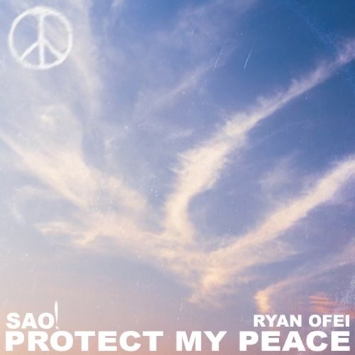 Protect My Peace_poster_image