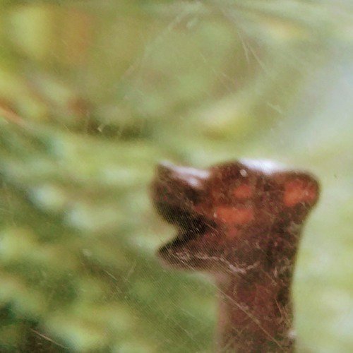 Forage cover art