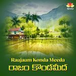 Raajaam Konda Meeda