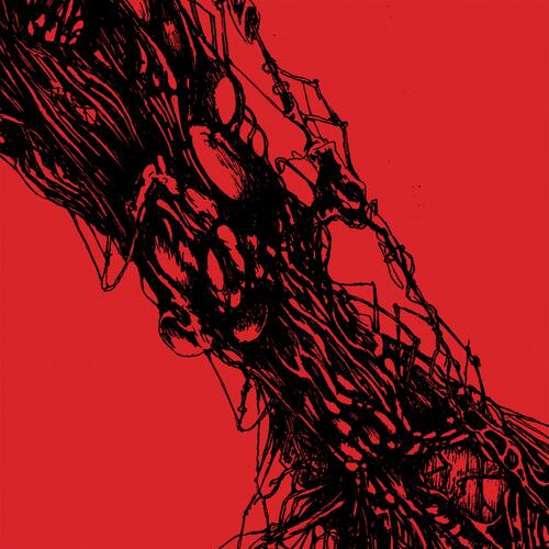 Dermadisk cover art