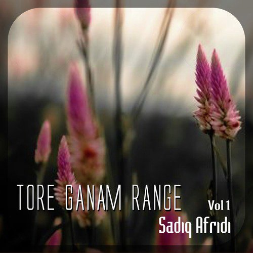 Tore Ganam Range, Vol. 1