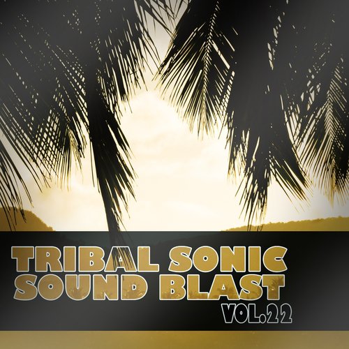 Tribal Sonic Soundblast,Vol.22