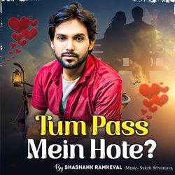 Tum Pass Mein Hote