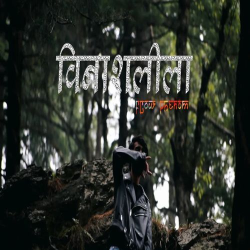 VINASHLEELA