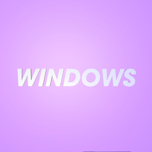 Windows_poster_image