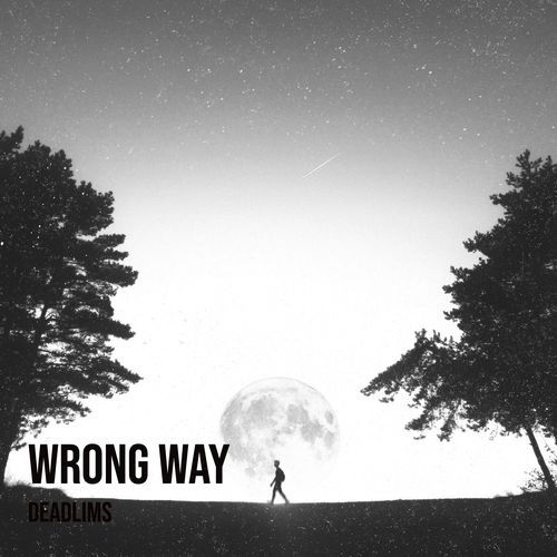 Wrong Way cover art
