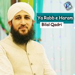 Ya Rabb e Haram