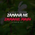 Zamana Ne Zamane Main Lofi