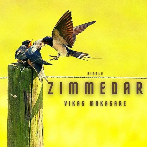 Zimmedar