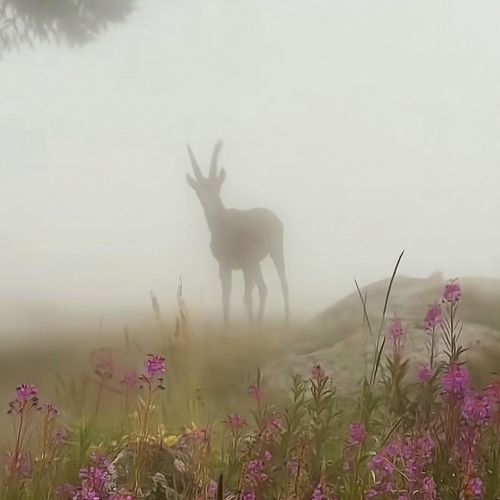 a good man with a broken heart