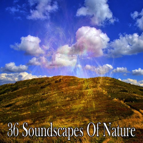 36 Soundscapes Of Nature
